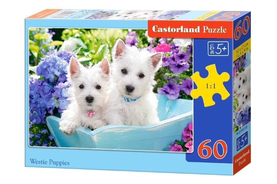 Dėlionė Castorland Westie Puppies, 60 d. cena un informācija | Puzles, 3D puzles | 220.lv
