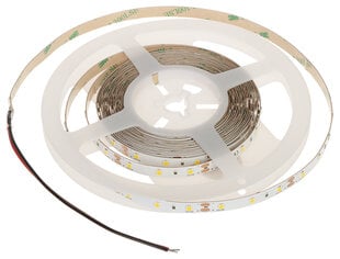 СВЕТОДИОДНАЯ ЛЕНТА LED60-12V/6W-WW/5M - 3000 К МВт Lighting цена и информация | Светодиодные ленты | 220.lv