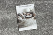 Rugsx paklājs Silver Etna 120x1000 cm цена и информация | Paklāji | 220.lv