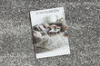 Rugsx paklājs Silver Etna 100x220 cm cena un informācija | Paklāji | 220.lv