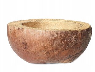 Чаша из скорлупы кокоса Цветочный горшок COCONUTS 20 см цена и информация | Вазоны | 220.lv