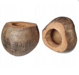 COCONUT Горшок из скорлупы кокоса для орхидей 19 см цена и информация | Ящики для рассады | 220.lv