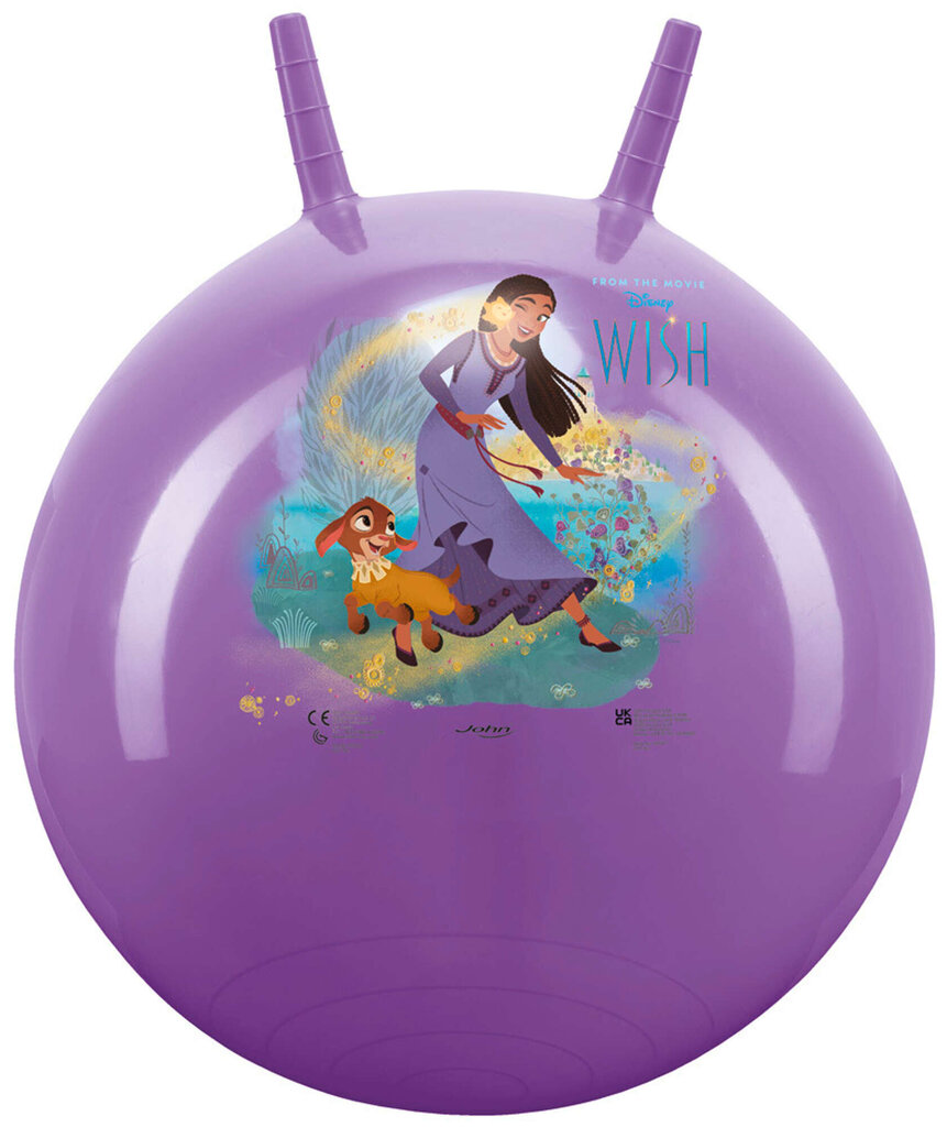 Lēkāšanas bumba, 45-50 cm, violeta cena un informācija | Ūdens, smilšu un pludmales rotaļlietas | 220.lv