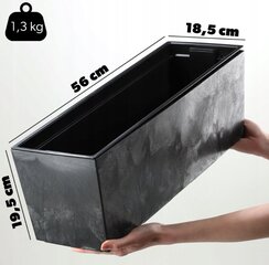 Puķu kaste Kadax, 56 x 18,5 x 19,5 cm цена и информация | Вазоны | 220.lv