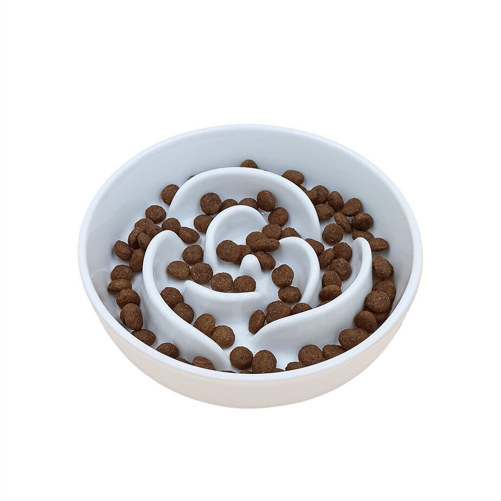 Tailium keramikas lēnas barošanas bļoda suņiem, balts цена и информация | Bļodas, kastes pārtikas | 220.lv
