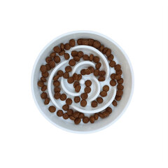 Tailium keramikas lēnas barošanas bļoda suņiem, balts цена и информация | Миски, ящики для корма | 220.lv