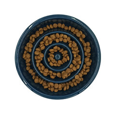 Keramikas bļoda suņiem Tailium, L , zila cena un informācija | Bļodas, kastes pārtikas | 220.lv