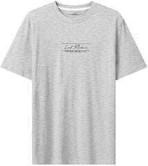 T-krekls vīriešiem Glo Story MPO 3552, pelēks cena un informācija | Vīriešu T-krekli | 220.lv