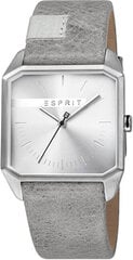 Esprit Cube Мужские серебристо-серые ES1G071L0015 цена и информация | Мужские часы | 220.lv