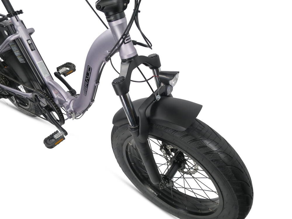 Elektriskais velosipēds Denver E2800 TOP 20", pelēks cena un informācija | Elektrovelosipēdi | 220.lv
