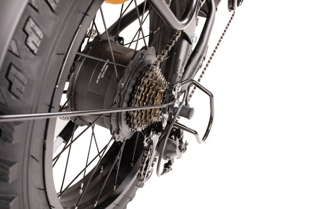 Elektriskais velosipēds Denver Orus E 2500 20", melns cena un informācija | Elektrovelosipēdi | 220.lv