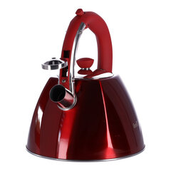 Стальный чайник 3.0L Zilner Rosegld ZL-5697 цена и информация | Чайники, кофейники | 220.lv