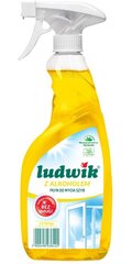 Средство для мытья окон ЛЮДВИК Лимон, 600мл цена и информация | Очистители | 220.lv