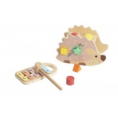 Набор деревянных игрушек для ребенка цена и информация | Развивающие игрушки | 220.lv