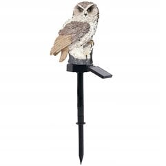 Āra lampa ar saules bateriju Aptel Owl White 43 cm, 1 gab. cena un informācija | Āra apgaismojums | 220.lv