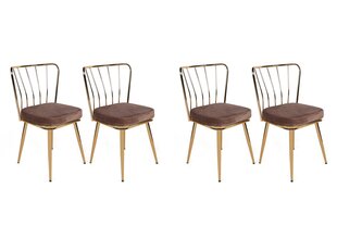 4 krēslu komplekts Kalune Design Yildiz-927, zelts/brūns цена и информация | Стулья для кухни и столовой | 220.lv