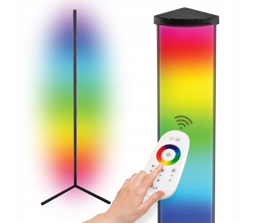 RGB grīdas lampa cena un informācija | Stāvlampas | 220.lv