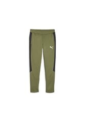 Puma Спортивные Брюки Evostripe Pants Black Green 678997 33 678997 33/M цена и информация | Мужская спортивная одежда | 220.lv