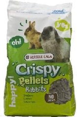 Корм для кроликов Versele Laga Crispy Pellets, 2 кг цена и информация | Корм для грызунов | 220.lv