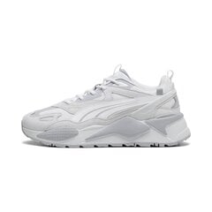 Cпортивная обувь PUMA RS-X Efekt PRM 390776224099686520076 цена и информация | Кроссовки мужские | 220.lv