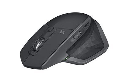 Logitech MX WL Black 910-007224 цена и информация | Peles | 220.lv