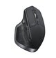 Logitech MX WL Black 910-007224 цена и информация | Peles | 220.lv