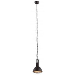 Argon подвесной светильник Calvados 3189 цена и информация | Настенный/подвесной светильник Eye Spot 11 BL, чёрный | 220.lv