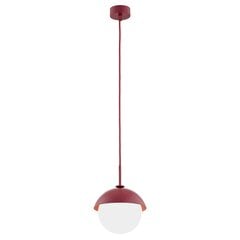 Argon подвесной светильник Cappello 8296 цена и информация | Люстры | 220.lv