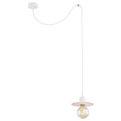 Argon подвесной светильник Corso 3834 цена и информация | Люстры | 220.lv