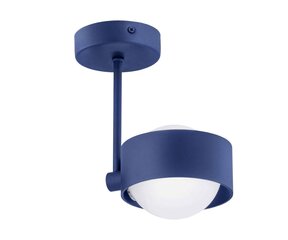 Argon подвесной светильник Massimo цена и информация | Люстры | 220.lv