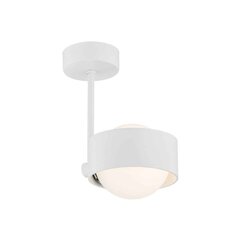 Argon подвесной светильник Massimo Plus 8058 цена и информация | Люстры | 220.lv