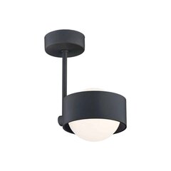 Argon подвесной светильник Massimo Plus 8060 цена и информация | Люстры | 220.lv