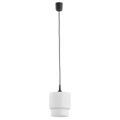 Argon подвесной светильник Newa 3269 цена и информация | Люстры | 220.lv