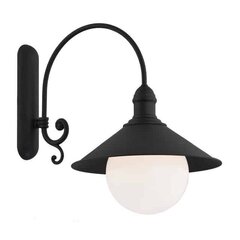 Argon sienas lampa Erba Bis цена и информация | Настенные светильники | 220.lv