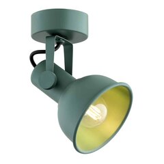 Argon настенный светильник Lenora цена и информация | Настенные светильники | 220.lv