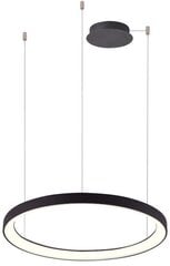 Azzardo подвесной светильник Agnes AZ5022 цена и информация | Люстры | 220.lv
