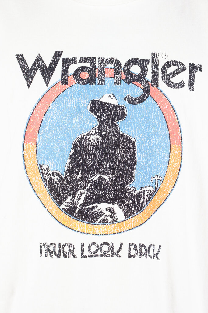 T-krekls vīriešiem Wrangler 112329201, balts cena un informācija | Vīriešu T-krekli | 220.lv