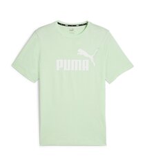 Puma мужская футболка 586667*60, светло-зелёный/белый 4099685576838 цена и информация | Мужские футболки | 220.lv