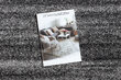 Rugsx paklājs Silver Sahara 120x340 cm cena un informācija | Paklāji | 220.lv