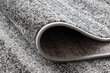 Rugsx paklājs Silver Sahara 80x120 cm cena un informācija | Paklāji | 220.lv