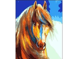 Gleznošana pēc skaitļiem 40x50cm zirgs cena un informācija | Gleznas pēc numuriem | 220.lv