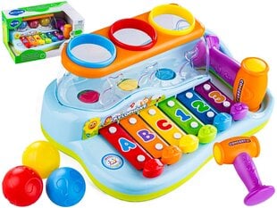 Muzikāla rotaļlieta mazulim Hola cena un informācija | Rotaļlietas zīdaiņiem | 220.lv
