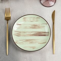 Фарфоровая обеденная тарелка зеленая 23 см цена и информация | Посуда, тарелки, обеденные сервизы | 220.lv