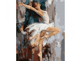 Gleznošana pēc skaitļiem 40x50cm balerīna dejā cena un informācija | Gleznas pēc numuriem | 220.lv