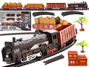 Reālistisks vilciens - lokomotīve ar vagoniem bērniem Rail King cena un informācija | Rotaļlietas zēniem | 220.lv