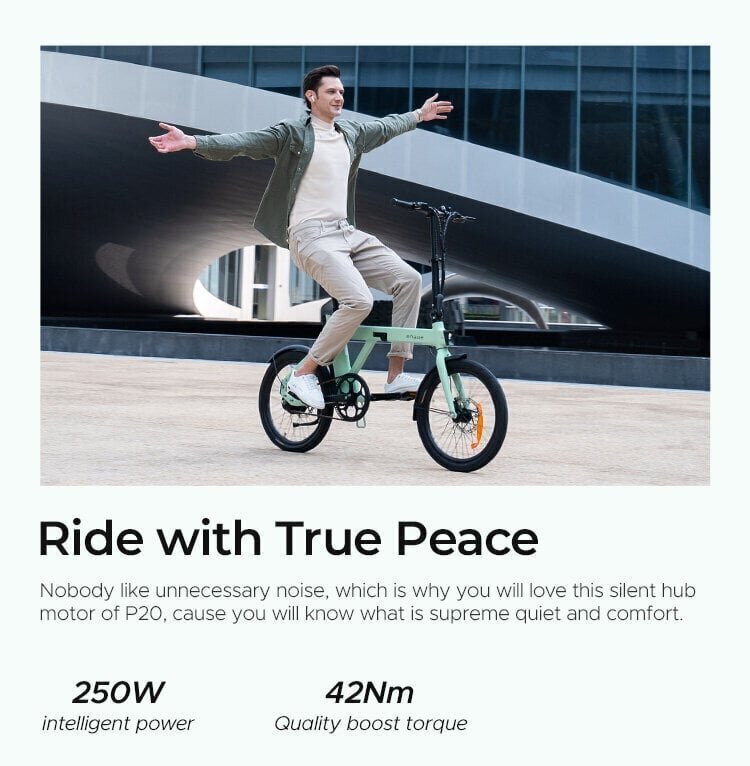 Elektriskais velosipēds Engwe P20, 20", zaļš цена и информация | Elektrovelosipēdi | 220.lv