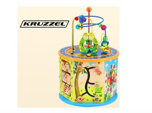 Izglītojošs kubs Kruzzel cena un informācija | Attīstošās rotaļlietas | 220.lv