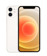Apple iPhone 12, balts, atjaunināts cena un informācija | Mobilie telefoni | 220.lv