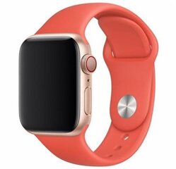 Силиконовый ремешок Apple Watch 38/40/41 (S/M) - Pink Sand цена и информация | Smart устройства и аксессуары | 220.lv