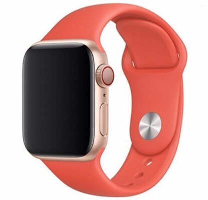 Smartplace Apple Watch Silikona siksniņa 38/40/41 цена и информация | Smart ierīces un piederumi | 220.lv